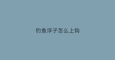 钓鱼浮子怎么上钩(钓鱼时浮子立不起来怎么办)