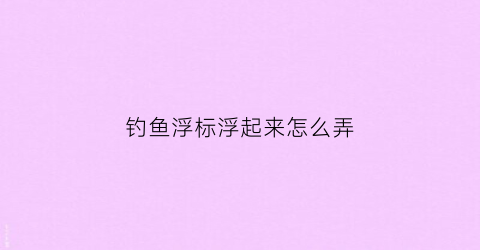 钓鱼浮标浮起来怎么弄(钓鱼浮标浮起来怎么弄出来)