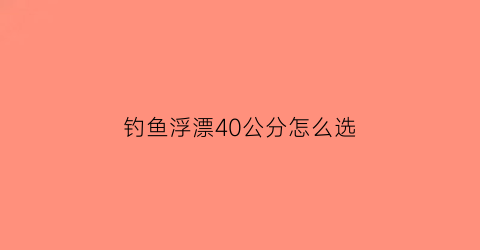 钓鱼浮漂40公分怎么选