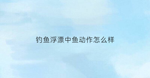 “钓鱼浮漂中鱼动作怎么样(钓鱼浮漂中鱼动作怎么样才能钓上)