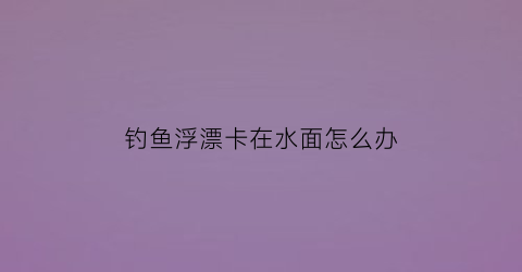 钓鱼浮漂卡在水面怎么办(钓鱼浮漂卡在水面怎么办啊)