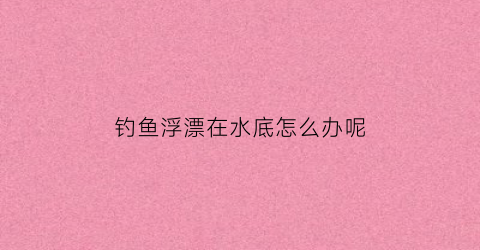 钓鱼浮漂在水底怎么办呢(浮漂在水底的状态)