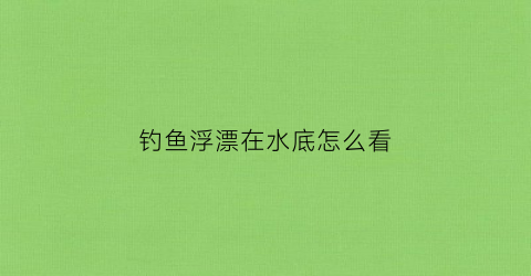 钓鱼浮漂在水底怎么看(如何根据浮漂确定鱼钩在水底的状态)