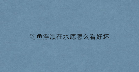 “钓鱼浮漂在水底怎么看好坏(钓鱼浮漂在水底怎么看好坏视频)