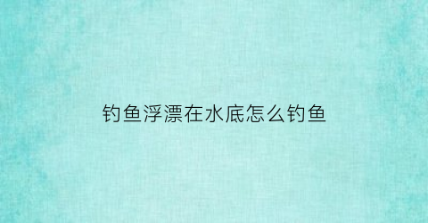 钓鱼浮漂在水底怎么钓鱼(浮漂在水底的状态)