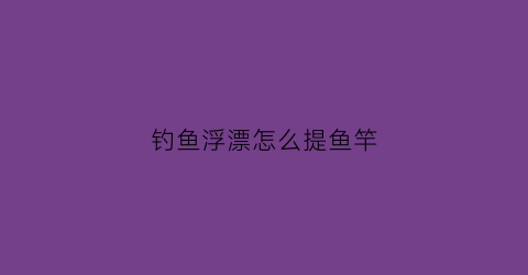 钓鱼浮漂怎么提鱼竿(浮漂怎么增加浮力)