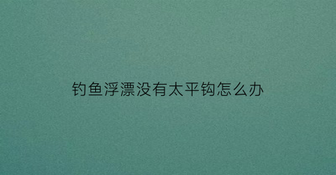 “钓鱼浮漂没有太平钩怎么办(没有浮漂的鱼竿怎么钓鱼)