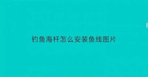 钓鱼海杆怎么安装鱼线图片(海杆鱼竿鱼线鱼钩怎么安装)