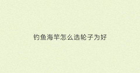 钓鱼海竿怎么选轮子为好(海竿选择什么渔轮)