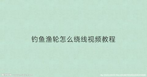 钓鱼渔轮怎么绕线视频教程(钓鱼渔轮怎么绕线视频教程大全)