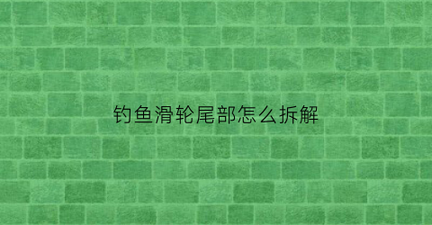 钓鱼滑轮尾部怎么拆解(钓鱼的滑轮怎么组装的)