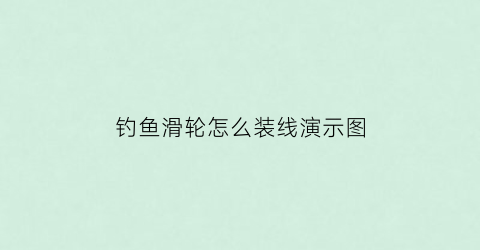 钓鱼滑轮怎么装线演示图(钓鱼滑轮坏了怎么修)