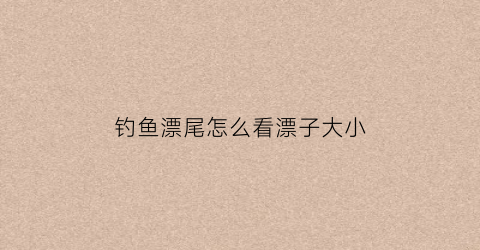 钓鱼漂尾怎么看漂子大小(鱼漂漂尾长短)