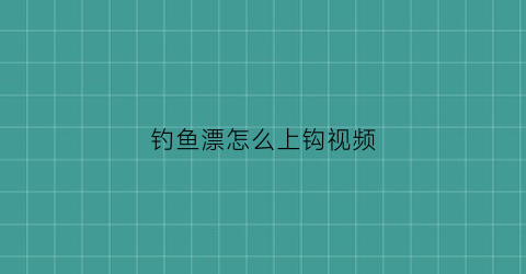钓鱼漂怎么上钩视频(鱼漂怎么上)