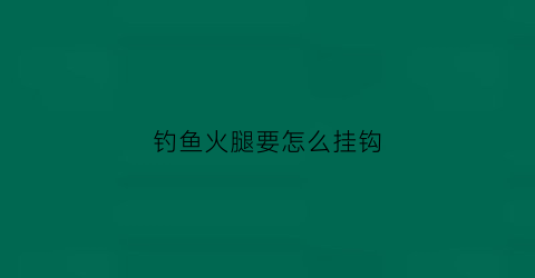 钓鱼火腿要怎么挂钩(火腿钓鱼用法)