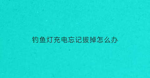 钓鱼灯充电忘记拔掉怎么办(钓鱼灯充电忘记拔掉怎么办视频)
