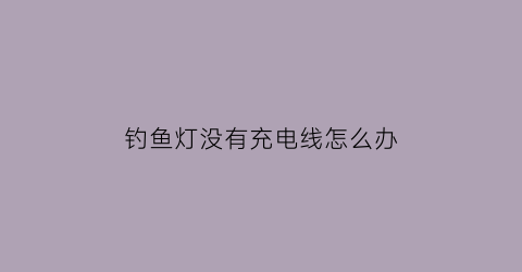 钓鱼灯没有充电线怎么办(钓鱼灯充电器通用吗)