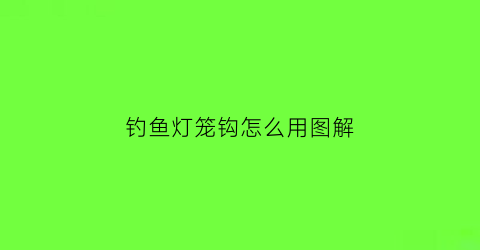 “钓鱼灯笼钩怎么用图解(灯笼鱼钩怎么挂饵料)