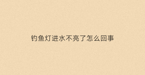 钓鱼灯进水不亮了怎么回事(钓鱼灯掉水里了怎么办)