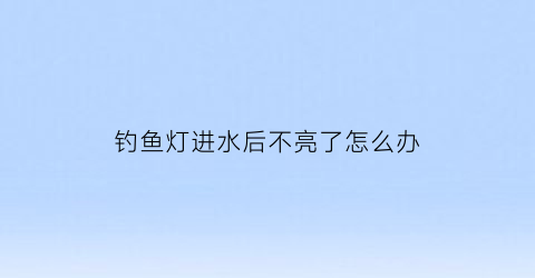 钓鱼灯进水后不亮了怎么办(钓鱼灯掉水里了怎么办)