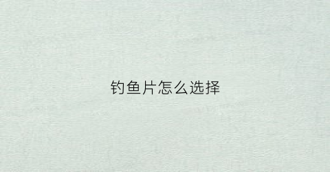 钓鱼片怎么选择(钓鱼鱼食怎么选择)