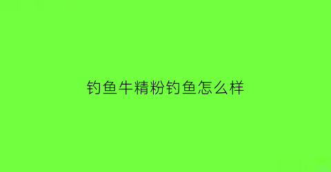 钓鱼牛精粉钓鱼怎么样(牛精米野钓)