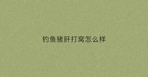 钓鱼猪肝打窝怎么样(猪肝打窝钓白条)