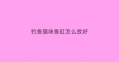 钓鱼猫咪鱼缸怎么放好(养猫鱼缸)