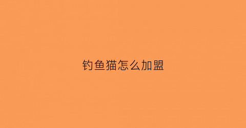 钓鱼猫怎么加盟(钓鱼猫婴儿服饰加盟)