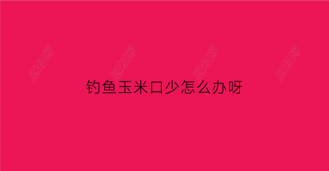 钓鱼玉米口少怎么办呀(钓玉米有口打不到)