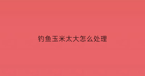 钓鱼玉米太大怎么处理(玉米钓)