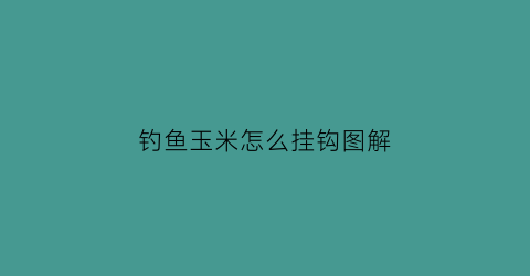 “钓鱼玉米怎么挂钩图解(玉米钓鱼挂钩方法)