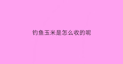 钓鱼玉米是怎么收的呢(钓鱼玉米是怎么收的呢图片)