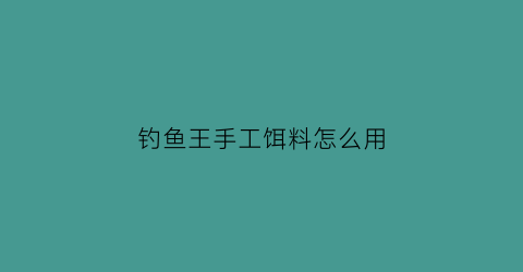 钓鱼王手工饵料怎么用