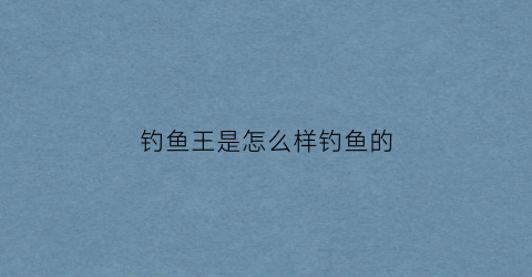 钓鱼王是怎么样钓鱼的(钓鱼王的产品怎么样)