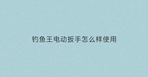 钓鱼王电动扳手怎么样使用(钓鱼王钓鱼竿)