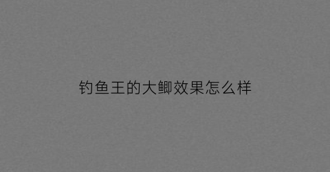 钓鱼王的大鲫效果怎么样(钓鱼王野钓鲫鱼商品饵配方)