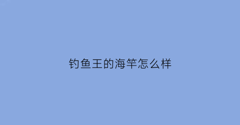 钓鱼王的海竿怎么样(钓鱼王鱼竿是名牌吗)
