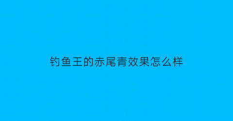 钓鱼王的赤尾青效果怎么样(赤尾青钓鲤鱼)