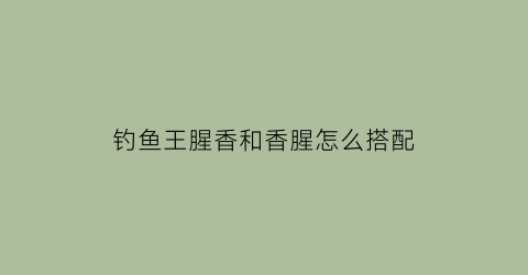 钓鱼王腥香和香腥怎么搭配(钓鱼王腥香饵料怎么样)