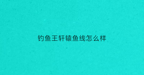 钓鱼王轩辕鱼线怎么样