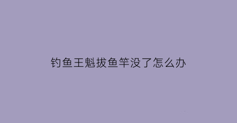 钓鱼王魁拔鱼竿没了怎么办(钓鱼王魁拔系列哪个性价比高)