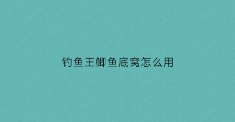 钓鱼王鲫鱼底窝怎么用(钓鱼王的大鲫)