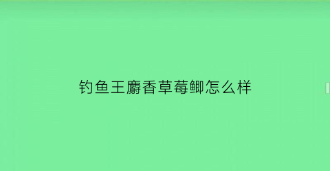 钓鱼王麝香草莓鲫怎么样(钓鱼王麝香米效果)