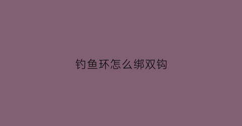钓鱼环怎么绑双钩(钓环怎么绑的紧)