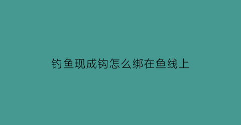 “钓鱼现成钩怎么绑在鱼线上(钓钩如何绑在鱼线上)