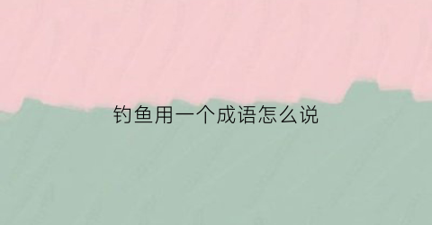 钓鱼用一个成语怎么说(钓鱼用一个字形容)