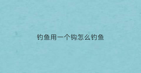 钓鱼用一个钩怎么钓鱼(钓鱼用一个钩好还是两个钩好)