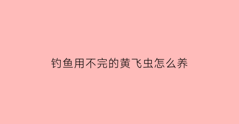 钓鱼用不完的黄飞虫怎么养(钓鱼用不完的黄飞虫怎么养鱼)