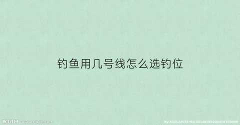 钓鱼用几号线怎么选钓位(钓鱼用几号线怎么选钓位呢)